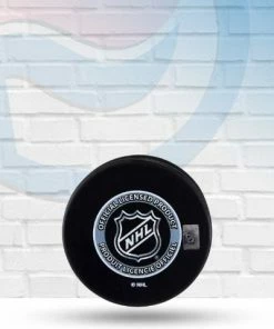 InGlassCo 2013 NHL Draft Unsigned Draft Logo Hockey Puck Collectibles