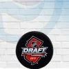 InGlassCo 2013 NHL Draft Unsigned Draft Logo Hockey Puck Collectibles