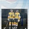 Fan Cave Sports Autographed Memorabilia Alex Pietrangelo Ryan Reaves Vegas Golden Knights Dual Autographed 16x20 Photo Glossy- JSA