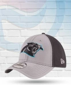 New Era Carolina Panthers Grayed Out Neo 2 39THIRTY Flex Hat