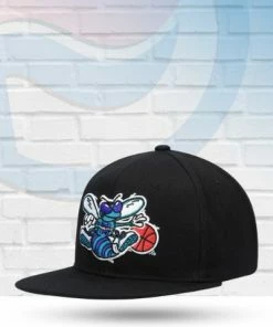Mitchell & Ness Charlotte Hornets Mitchell And Ness Core Basic Snapback Hat Hats