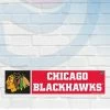 Michigan Chicago Blackhawks Bumper Sticker Decal 3"x12" Clearance