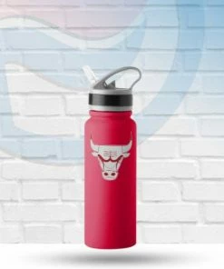 Logo Brands Chicago Bulls 25oz Game Day Stainless Fliptop Bottle Drinkware