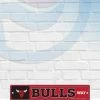WinCraft Wall Signs Chicago Bulls Street Zone Plastic Way Sign