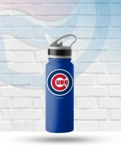 Logo Brands Chicago Cubs 25oz Game Day Stainless Fliptop Bottle Drinkware