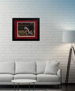 Fan Cave Sports Autographed Memorabilia David Freese St Louis Cardinals Autographed Framed 11x14 - JSA