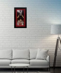 Fan Cave Sports Autographed Memorabilia David Freese St Louis Cardinals Autographed Framed Mini Panorama - JSA