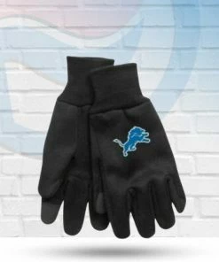 Michigan Detroit Lions Black Technology Gloves