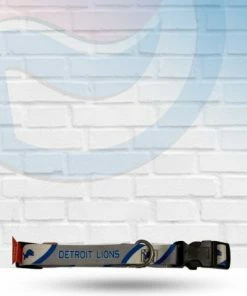 Michigan Detroit Lions Dog Collar Clearance