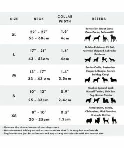 Michigan Clearance Detroit Tigers Dog Collar