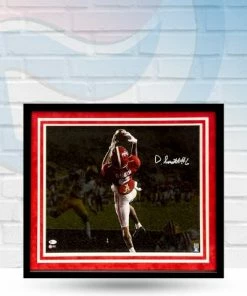 Fan Cave Sports DeVonta Smith Alabama Crimson Tide Autographed Framed 16x20 Photo - Beckett Autographed Memorabilia