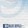 WinCraft Duke Blue Devils Street Zone Plastic Way Sign Wall Signs