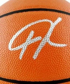 The Jersey Source Giannis Antetokounmpo Milwaukee Bucks Autographed NBA Official Basketball - JSA