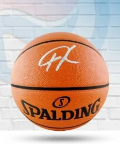 The Jersey Source Giannis Antetokounmpo Milwaukee Bucks Autographed NBA Official Basketball - JSA