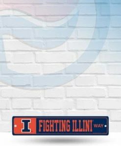 WinCraft Illinois Fighting Illini Street Zone Plastic Blvd Sign