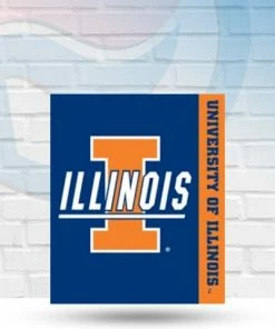 Michigan Illinois Fighting Illini Vintage Royal Plush Raschel Throw Blanket 50x60 Blankets
