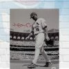 Fan Cave Sports Autographed Memorabilia Jim Edmonds St Louis Cardinals Autographed Black And White Photo - JSA