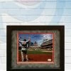 Fan Cave Sports Autographed Memorabilia Jim Edmonds St Louis Cardinals Autographed Framed 8x10 - JSA