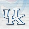 FanFave Kentucky Wildcats 3D Foam Wall Sign