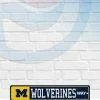 WinCraft Michigan Wolverines Street Zone Plastic Blvd Sign Wall Signs