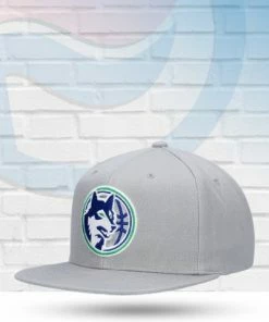Mitchell & Ness Minnesota Timberwolves Mitchell And Ness Core Basic Snapback Hat