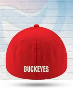New Era Ohio State Buckeyes Team Classic 39THIRTY Flex Hat