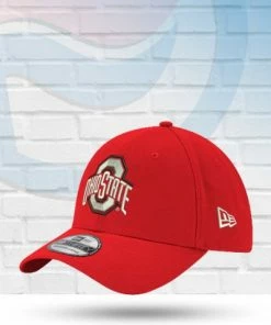 New Era Ohio State Buckeyes Team Classic 39THIRTY Flex Hat