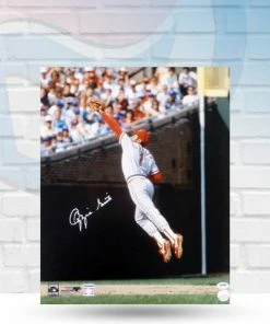 Fan Cave Sports Ozzie Smith St Louis Cardinals Autographed Backhand Catch 16x20 Photo - PSA