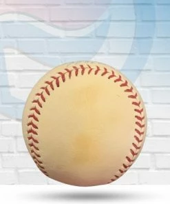 Fan Cave Sports Ozzie Smith St Louis Cardinals Autographed Baseball W/ Inscription - MLB COA