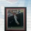 Fan Cave Sports Ozzie Smith St Louis Cardinals Autographed Framed 16x20 - COA Autographed Memorabilia