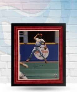 Fan Cave Sports Ozzie Smith St Louis Cardinals Autographed Framed 16x20 - PSA