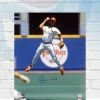 Fan Cave Sports Ozzie Smith St Louis Cardinals Autographed Vertical Throwing 16x20 Photo - PSA Autographed Memorabilia