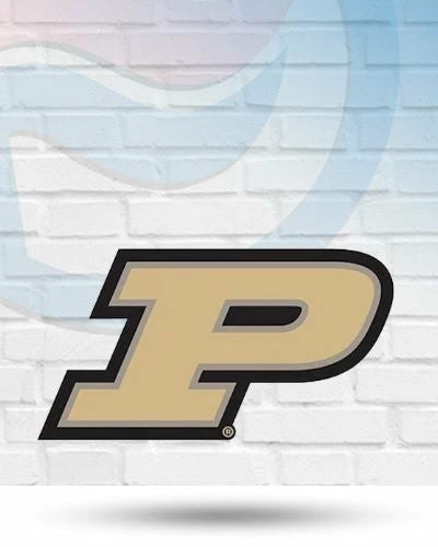 FanFave Purdue Boilermakers 3D Foam Wall Sign 1 FanFave Purdue Boilermakers 3D Foam Wall Sign