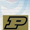 Michigan Purdue Boilermakers Deluxe 3' X 5' Deluxe Flag