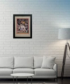 Fan Cave Sports Scott Rolen St Louis Cardinals Autographed Framed 8x10 - JSA Autographed Memorabilia