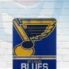 Northwest Blankets St Louis Blues Fleece Throw Blanket 50x60