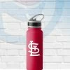 Logo Brands St Louis Cardinals 25oz Game Day Stainless Fliptop Bottle Drinkware