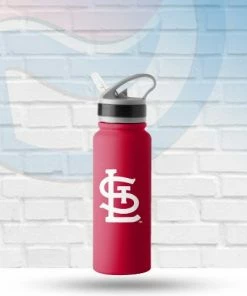 Logo Brands St Louis Cardinals 25oz Game Day Stainless Fliptop Bottle Drinkware
