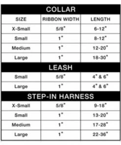 All Star Dogs Pets St Louis City SC Dog Collar