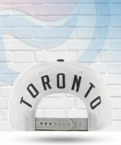 '47 Brand Toronto Raptors Boreland Captain Snapback Hat Hats