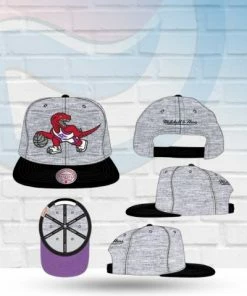Mitchell & Ness Toronto Raptors Mitchell And Ness Heather Underpop Snapback Hat Hats