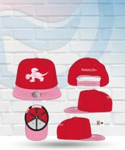 Mitchell & Ness Hats Toronto Raptors Mitchell And Ness Sweetheart Two-Tone Red / Pink Snapback Hat