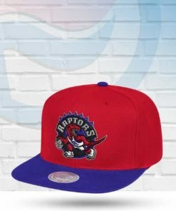 Mitchell & Ness Toronto Raptors Mitchell And Ness Two Tone Core Basic Snapback Hat